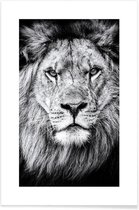 JUNIQE - Poster Leeuwenfoto -40x60 /Wit & Zwart