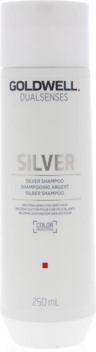 Resultaat Tegenover Perforatie Goldwell Dualsenses Silver Silver Shampoo 250 ml | bol.com