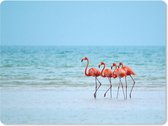Muismat Flamingo - Vier flamingo's staan op het strand muismat rubber - 40x30 cm - Muismat met foto