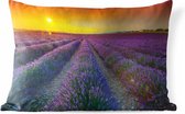 Coussins d'extérieur - Jardin - Coucher de soleil Oranje sur champ rempli de lavande - 50x30 cm