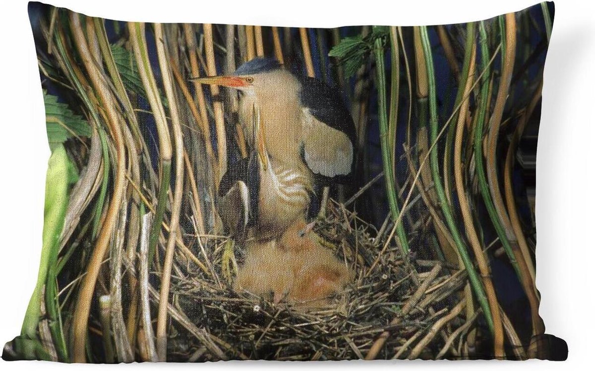 Sierkussens - Kussen - Een Woudaap in zijn nest tussen het hoge riet - 60x40 cm - Kussen van katoen - PillowMonkey