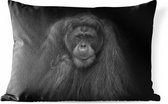 Buitenkussens - Tuin - Dierenprofiel orang-oetan in zwart-wit - 60x40 cm