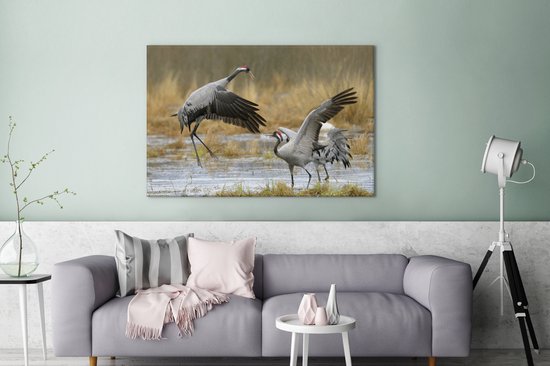 Grues européennes en eaux peu profondes Toile 180x120 cm - Tirage photo sur toile (Décoration murale salon / chambre) XXL / Groot format!