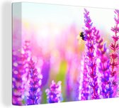 Fleurs avec abeille toile 60x40 cm - Tirage photo sur toile (Décoration murale salon / chambre) / Peintures Fleurs sur toile