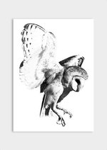 Poster Light Owl - Dibond - Meerdere Afmetingen & Prijzen | Wanddecoratie - Interieur - Art - Wonen - Schilderij - Kunst