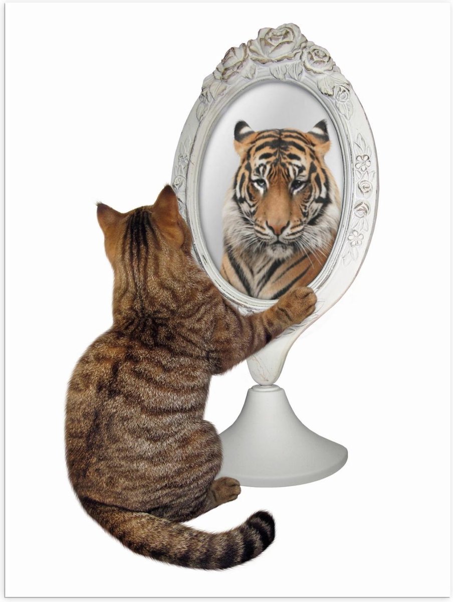 Poster – Kat Als Tijger In De Spiegel - 30X40Cm Foto Op Posterpapier | Bol.Com