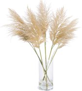 Pampas Pluimen - Droogbloemen - 10 stuks - 90cm