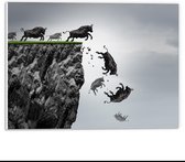 Forex - Stieren vanaf Rots - 40x30cm Foto op Forex