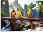 Tuinposter – Papegaaien op Stok voor Waterval - 40x30cm Foto op Tuinposter  (wanddecoratie voor buiten en binnen)