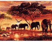Painting Expert® Schilderen op nummer Volwassenen – Schilderen op nummer Kinderen - Afrika - 40x50cm - Op Lijst Gemonteerd (24 kleurtjes)