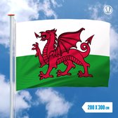 Vlag Wales 200x300cm - Glanspoly