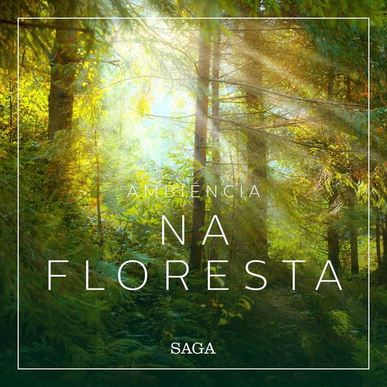 Ambiência - Na Floresta - cover