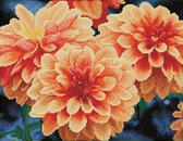 DQK9.004 Diamond Dotz® - Hobby Pakket - Diamond painting volwassenen - Diamond painting met lijst - Oranje dahlia's 35 x 45cm - Vierkante steentjes - Diamond painting pakket volled
