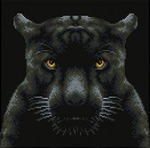 DQ8.021 Diamond Dotz® - Hobby Pakket - Diamond painting volwassenen - Zwarte panter 34.5 x 34.5cm - Vierkante steentjes - Diamond painting pakket volledig