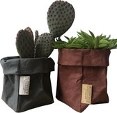de Zaktus - cactus - Gymnocalycium mihanovichii - UASHMAMA® paperbag metallic zwart - Maat M