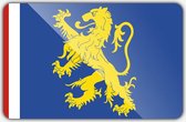 Vlag gemeente Leeuwarden - 200 x 300 cm - Polyester