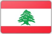 Vlag Libanon - 70 x 100 cm - Polyester