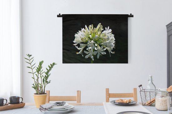 Tapisserie Plantes sur fond noir - Un agapanthe blanc en fleurs sur fond sombre Tapisserie en coton 90x67 cm - Tapisserie avec photo