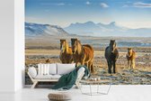 Behang - Fotobehang IJslander paarden in een winters berglandschap - Breedte 330 cm x hoogte 220 cm