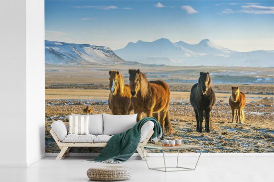 Behang - Fotobehang IJslander paarden in een winters berglandschap - Breedte 330 cm x hoogte 220 cm