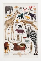 JUNIQE - Poster in houten lijst Vintage Afrika -40x60 /Kleurrijk