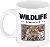 Jaguar mok met dieren foto wildlife of the world