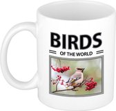 Pestvogels mok met dieren foto birds of the world