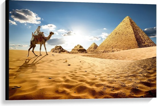 Canvas - Kameel bij Piramides in de Woestijn - Foto op Canvas Schilderij (Wanddecoratie op Canvas)