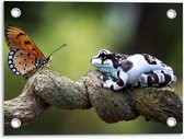 Tuinposter – Vlinder met Kikker op Stam - 40x30cm Foto op Tuinposter  (wanddecoratie voor buiten en binnen)