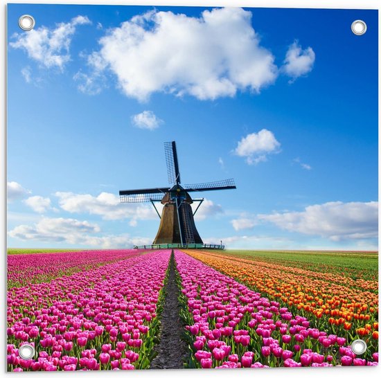 Tuinposter – Tulpen Veld bij Molen - 50x50cm Foto op Tuinposter  (wanddecoratie voor buiten en binnen)