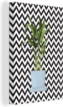 Illustration d'une plant aux longues feuilles fines sur fond en zigzag 20x30 cm - petit - Tirage photo sur toile (Décoration murale salon / chambre)
