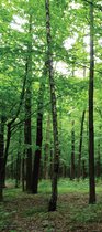 Sanders & Sanders poster bosrijk landschap groen - 600829 - 90 x 202 cm
