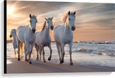 Canvas  - Witte Paarden op het Strand - 90x60cm Foto op Canvas Schilderij (Wanddecoratie op Canvas)