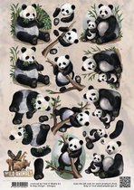 3D Knipvel - Amy Design - Wild Animals - Panda's - 1 knipvel