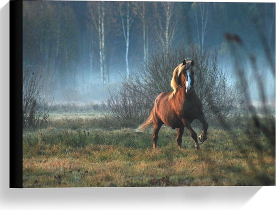 Canvas  - Wild Paard in de Natuur - 40x30cm Foto op Canvas Schilderij (Wanddecoratie op Canvas)