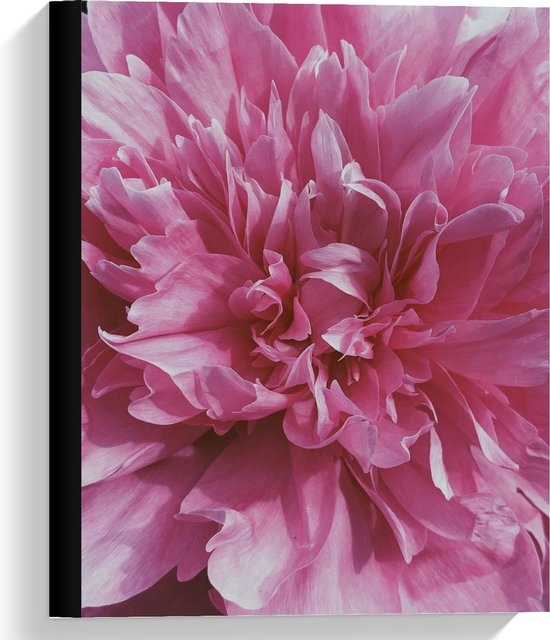 Canvas - Roze Grote Bloem - Foto op Canvas Schilderij (Wanddecoratie op Canvas)