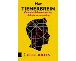 Het tienerbrein
