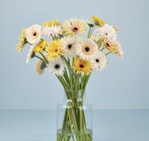 Bloom Makery - Frisse Favoriet - Bloemen - Boeket- 30 Gerbera's