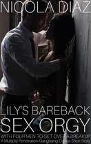 Lily’s Bareback Sex Orgy With Four Men To Get Over A Breakup - A Multiple Penetration Gangbang Erotica Short Story