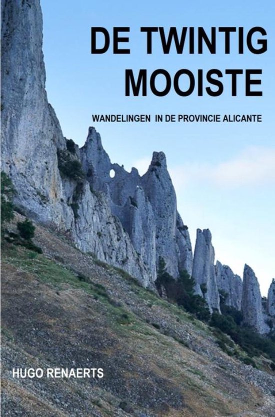 DE 20 MOOISTE - cover
