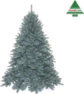 Triumph Tree - Scandia kerstboom blauw TIPS 1379 - h215xd150cm- Kerstbomen