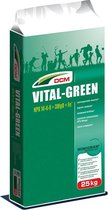 DCM Vital green (minigran) 14-4-8+3 25 kg