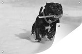 Tuinposter Staffordshire Bull Terrier die in de sneeuw loopt - 100x60 cm - Wanddecoratie Buiten - Tuinposter - Tuindoek - Schuttingposter - Tuinschilderij
