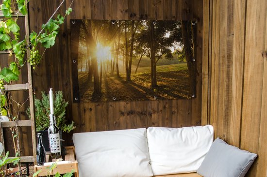 Le soleil d'automne se lève dans une forêt sombre. Affiche de jardin 120x80 cm - Toile de jardin / Toile d'extérieur / Peintures d'extérieur (décoration de jardin)