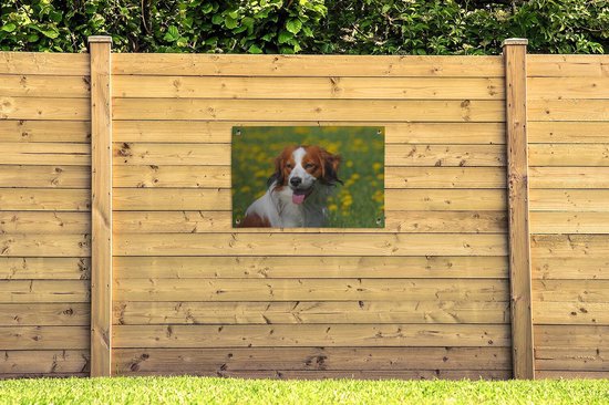 Jong Kooikerhondje affiche de jardin portrait toile en vrac 90x60 cm - toile de jardin / toile d'extérieur / Peintures pour l'extérieur (décoration de jardin)