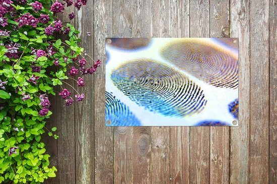 Affiche de jardin empreintes digitales colorées en vrac 60x40 cm - petit - Toile de jardin / Toile d'extérieur / Peintures pour l'extérieur (décoration de jardin)