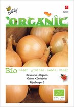 Buzzy Organic Ui Rijnsburger (BIO) Zaden - Biologische Rijnsburger Ui voor Een Zoete en Aardse Smaak