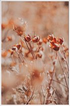 JUNIQE - Poster in kunststof lijst Autumnal Flowers -40x60 /Oranje &