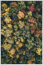 JUNIQE - Poster in kunststof lijst Herfstbomen - luchtfotografie
