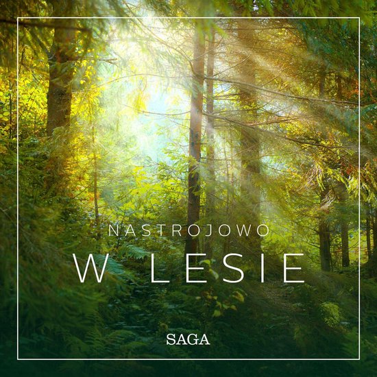 Nastrojowo - W lesie - cover